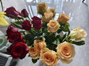 云南鲜花批发品质玫瑰百合水养鲜切花送女友生日礼物源头直发 玫瑰10枝-任意色 【任选2件—不收运費】 实拍图