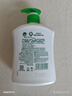 滴露（Dettol）洗手液松木500g瓶 健康抑菌消毒非补充装 儿童家庭用清爽去油 实拍图