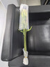 禾之润香水百合花鲜花云南昆明基地直发批鲜切家用水养插花 香水百合温柔粉色15朵 关注店铺送进口营养液 实拍图