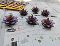 若客木艺画集浮光睡莲 积木花创意桌面摆件diy手工生日礼物模型 实拍图