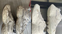 【高端精洗】京东快递免费上门取送洗鞋子服务 纯手工精洗 高端奢侈品鞋洗护 线下实体门店 【LV等名品奢侈品】精致洗鞋护理 下单后默认【1小时内预约上门取鞋】其它时间联系客服 实拍图