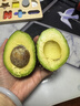京遇良橙牛油果油 鳄梨 生鲜新鲜水果礼盒果蔬非即食 8个巨无霸单果190g起 实拍图