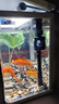 宠街坊小鱼缸一体缸自循环水族箱桌面客厅小型送礼生态鱼缸造景240 实拍图