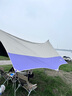 原始人 黑胶天幕帐篷户外露营网红野营遮阳棚野餐桌椅防晒八角蝶形 20㎡【紫罗兰-钛黑胶】家庭出行 实拍图