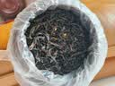 安纯武夷红茶正山小种特级2026新茶叶礼盒浓香型自己喝250g送礼长辈 桂花红茶【好评99%】 实拍图