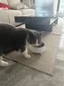 HELLOJOY不锈钢宠物食盆狗碗猫狗碗食盆水粮两用宠物碗喂食器 白色 实拍图