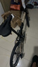 大行（DAHON）经典P8折叠自行车成人20英寸8速男女式通勤运动单车KBC083 橙色【经典版】 实拍图