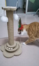 HELLOJOY猫抓柱剑麻猫抓板猫玩具耐抓耐磨不掉屑猫爬架立式自嗨解闷用品 实拍图