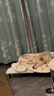 哈骆顿狗床行军床狗狗窝四季通用宠物离地狗床铁架小中大型犬网布狗垫子 宠物行军床【加厚耐用舒适透气】 中号-93*56*15【承重50-120斤】 【就近发货-当次日达-质保三年】 实拍图