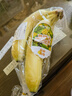 黄胖子进口香蕉650g 实拍图