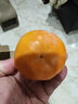 京鲜生 阳丰脆甜柿 净重8.5-9斤单果130g+  水果源头直发包邮 实拍图