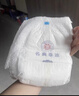 名典泰迪一体拉拉裤XXL码50片【15-17kg】婴儿尿不湿超薄干爽尿裤男女通用 实拍图
