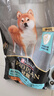 冠能狗粮消化舒适成犬狗粮全价7kg 天然益生元配方 改善肠胃敏感 实拍图