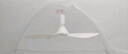 志高（CHIGO）小吊扇 小型电风扇 小风扇家用学生宿舍床上大风力6页蚊帐扇悬挂式微风吊扇便携小电扇 新升级-标配款6叶 实拍图