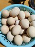 云依禾农庄鸡蛋农家散养土鸡蛋 山林草鸡蛋新鲜现捡柴鸡蛋 单枚40g±5g 【散养土鸡蛋】50枚 实拍图