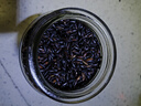东北黑米 粗粮大米新货农家自产紫米黑香米五谷杂粮糙米粥糯米 东北黑米500g*1袋 实拍图