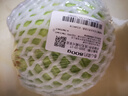 圆白菜约800g 实拍图