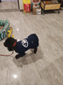 派乐特 宠物狗狗衣服装泰迪幼犬猫咪秋冬季比熊雪纳瑞小型犬两腿蓝XL 实拍图
