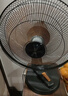 钻石牌（DIAMOND） 台式电风扇家用台扇风扇宿舍卧室台风扇客厅办公室节能省电摇头电扇学生床上 FT-35-1铝叶机械 推荐客厅/餐厅 实拍图