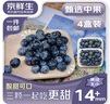 京鲜生 云南蓝莓 4盒 14mm+装125g/盒 生鲜水果 源头直发 包邮 实拍图
