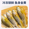 卖鱼七郎 去腮去内脏冷冻小黄鱼黄花鱼2.4斤烧烤食材生鲜鱼类海鲜水产 实拍图