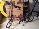 大行（DAHON）SP18折叠自行车20英寸18速成人男女旅行运动公路车载单车KAC083 紫色 实拍图