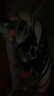 babycare婴儿健身架玩具钢琴游戏毯0-1岁音乐礼盒新生男女礼物蓝牙新生礼 【热卖爆款】忠犬健身架-附赠电池 实拍图