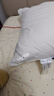 康尔馨希尔顿五星级酒店枕头 抗菌纯棉纤维枕成人家用单人枕头芯 白色 中枕(74*48cm) 单只 实拍图