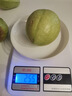 白心芭乐新鲜软糯番石榴低卡轻食可榨汁启鸿 白心芭乐 带箱2斤 单果100g+ 实拍图