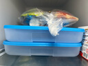 特百惠（Tupperware） 饺子盒1.3升冷冻保鲜盒汤圆盒 冰箱冷冻冷藏储藏收纳盒 1.3升蓝色两件套 实拍图