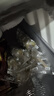 美丰 绿豆沙冰棍70g*6 实拍图