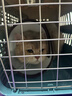 萌嘟星宠宠物航空箱大号狗狗运输箱猫咪笼子高铁空运车载便携式托运箱 实拍图