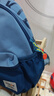 Edison爱迪生幼儿园书包学前班小学生儿童户外研学旅游出行小背包L02-5s 实拍图