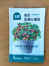 北蔬 矮生番茄种子苗蔬菜红珍珠小西红柿种籽 矮生盆栽红番茄种子50粒 实拍图