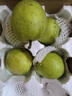 安徽正宗砀山梨青梨酥脆一号青皮蜜梨脆甜多汁无渣沐驰 3斤精选大果（净果2.7斤以上） 实拍图