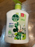滴露（Dettol）洗手液茉莉绿茶清香500g*2 儿童洗手液家庭抑菌消毒 迪士尼 实拍图
