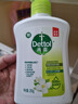 滴露洗手液茉莉绿茶250g 儿童抑菌洗手液消毒 家用洗手液留香 实拍图