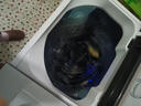 双鹿洗衣机半自动家用大容量双桶双缸波轮式洗脱一体机  家用商用租房家庭理发店酒店洗车行 23公斤【洗15+脱8】 双不锈钢+蓝光洁净 实拍图