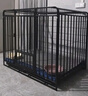 北鼻狗【升级全管加强 】狗笼中型犬大型犬狗笼子宠物狗狗笼子金毛用品 升级四面全管底部加强 黑色 125*95*105 建议130斤内 实拍图