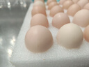 京鲜生【每日鲜蛋】无抗谷物鸡蛋30枚3.78斤 当日产蛋 当日发货 实拍图