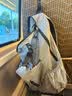 杉木山装户外登山包轻便蜻蜓可折叠旅行背包男女便携双肩包27L 银灰 实拍图