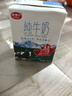 麦趣尔 新疆天山牧场全脂3.3g蛋白纯牛奶200ml*20盒整箱学生营养早餐 3.3g蛋白纯牛奶200ml*20*1箱 实拍图
