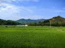 浪莎吊带背心女夏季新款外穿棉麻打底宽松慵懒上衣宽肩带无袖t恤内搭 白+粉【两件更优惠】背心款 M 【推荐95-115斤】 晒单实拍图