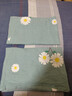 洁丽雅（Grace）纯棉枕套一对 加厚家用印花枕头套枕芯套 花漾-蓝48*74cm 实拍图