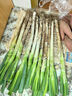 山东安丘铁杆大葱新鲜5斤10斤毛葱蔬菜蘸酱卷饼辛辣脆爽小葱大葱 5斤带皮大葱【净重5斤】 2500g 实拍图