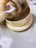 光多拉猫碗陶瓷恒温猫咪饮水机低加热保温酸奶机宠物狗秋冬季恒温喝水碗 实拍图