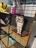 蔻丝猫笼子超大号猫窝别墅带厕所一体隔离适合幼猫大猫柜家用宠物猫笼 【3层1卫3室】攀爬多层空间 升级款【基础款+猫窝+猫吊床】 实拍图