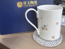 富玉陶瓷景德镇玲珑瓷带勺带碟泡茶杯女士办公室喝水杯 四叶草马克杯4件套 实拍图