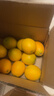 京鲜生 江西赣南脐橙 净重10斤 铂金果 单果180g起 生鲜水果橙子礼盒 实拍图