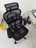 Ergonor保友金豪b雄鹰 人体工学椅 电脑椅 电竞椅办公椅子可躺老板椅 【金豪雄鹰X9】武士黑 实拍图